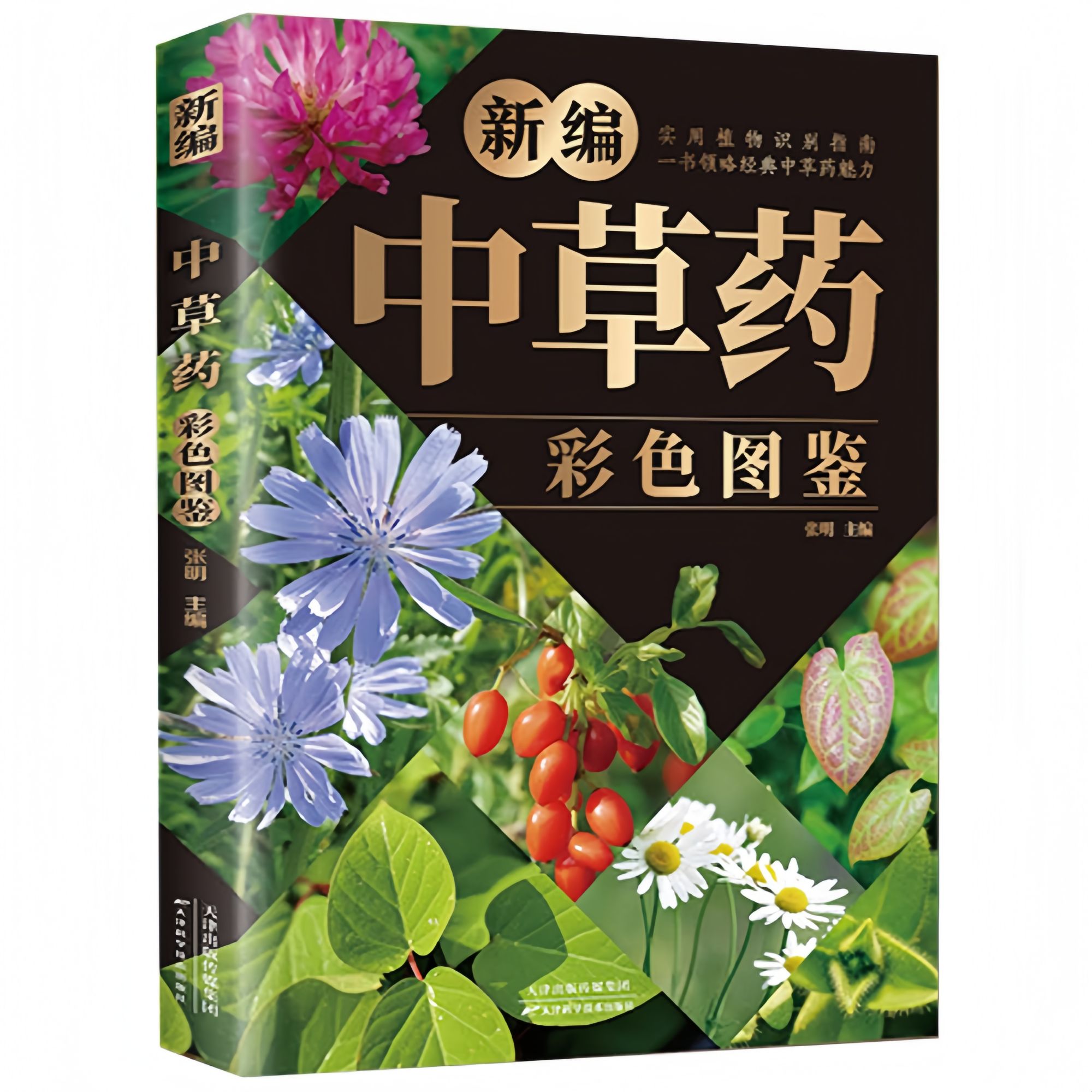 新编中草药彩色图鉴 传统植物鉴别方法实用中草药知识科普读物