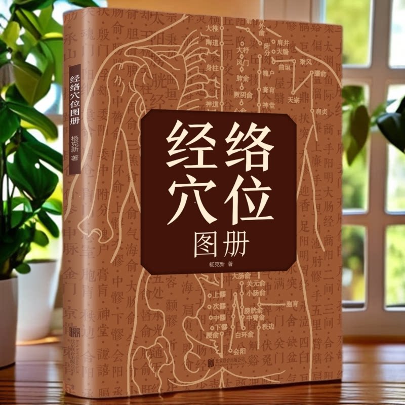 正版经络穴位图册 中医入门基础取穴图解家庭保健实用工具书籍