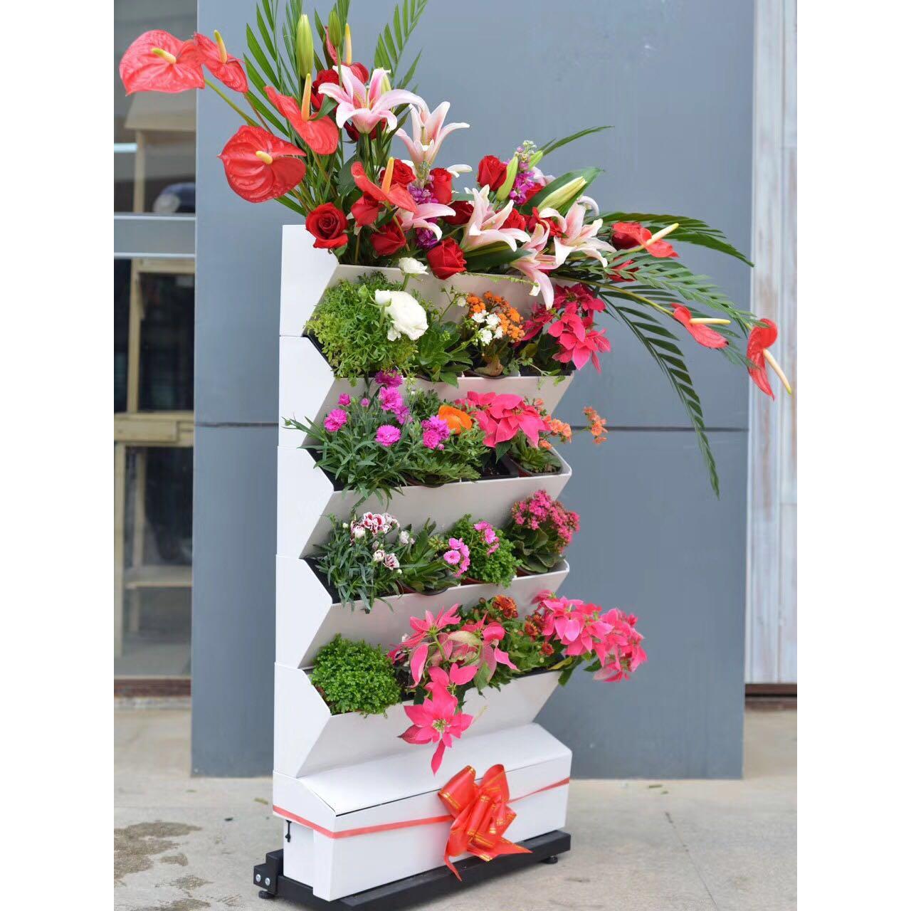 真生态绿色植物墙带轮子阳台移动式花架水培蔬菜设备懒电动智能蔬