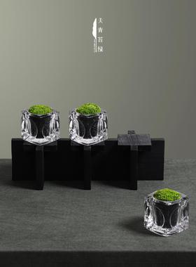 天青苔绿 中式碳化木底座永生苔藓组合 样板间展柜电视柜桌面摆件