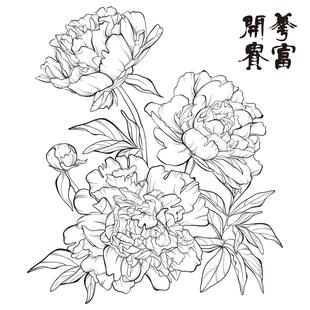 葫芦贴 牡丹拓印稿转印贴纸国花素材雕刻底稿葫芦转印 满5张 包邮