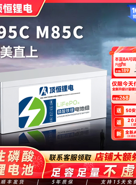 顶恒适用于九号M95C M80C M85C M3 95C大容量磷酸铁锂电池72V电动
