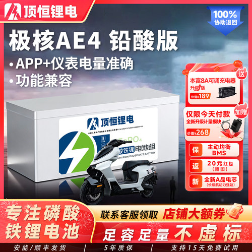 顶恒极核25款AE4磷酸铁锂电池