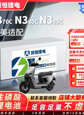 顶恒适用于九号N370C N380C N385C电动车磷酸铁锂电池大容量适配
