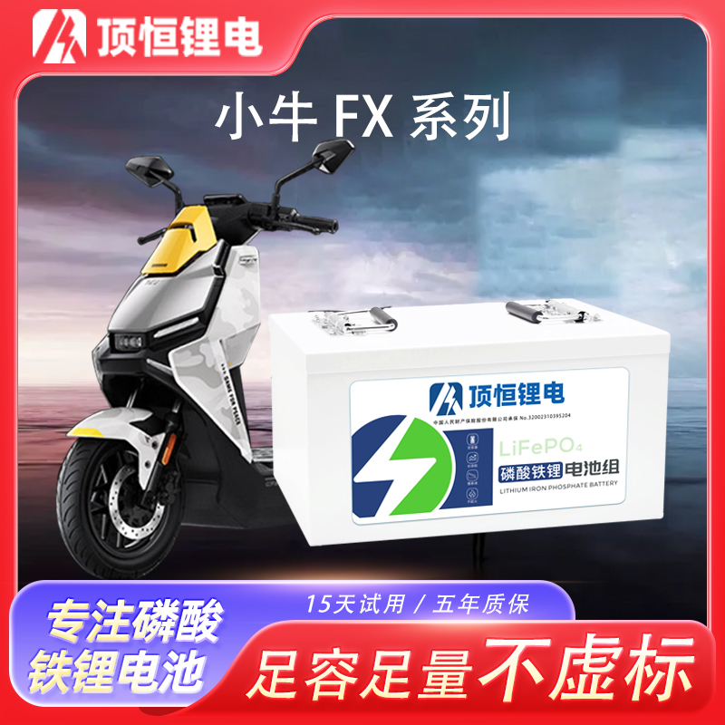 顶恒小牛FX系列磷酸铁锂