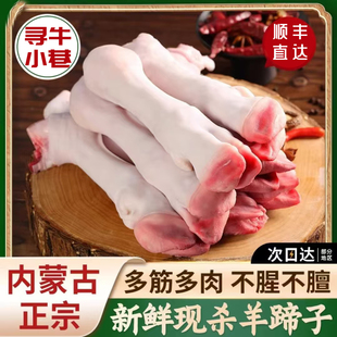 新鲜羊蹄子生羊蹄草原带筋羊脚草饲羊爪现杀羊脚蹄生鲜羊蹄商用
