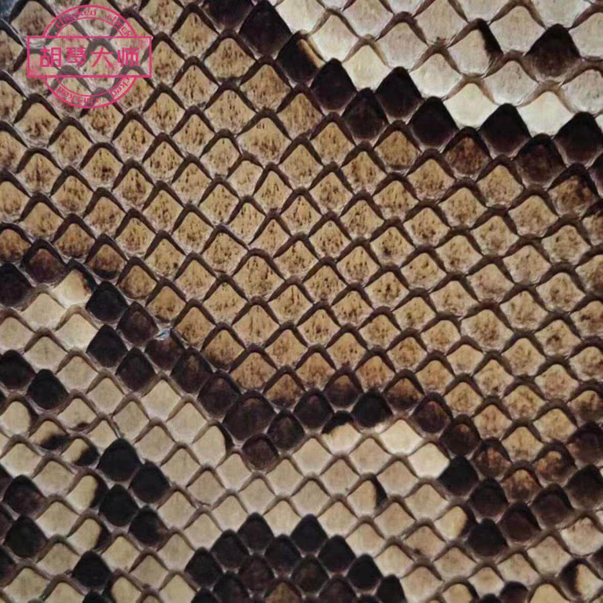 二胡皮高胡中胡皮坠琴三弦琴皮热瓦普 扎木念蒙皮二胡蟒皮