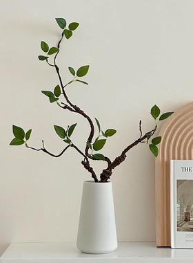 高级感小众彷真绿色植物桌面摆件彷真花花瓶客厅插花轻奢电视柜装