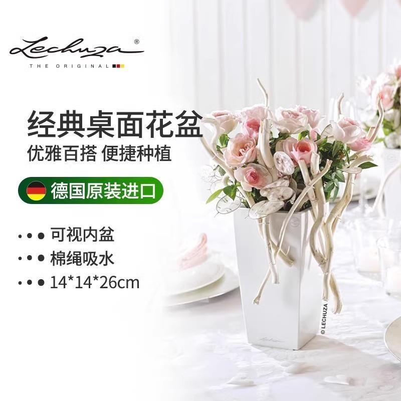 Lechuza德国进口花盆树脂家用绿植花卉自吸水懒人蝴蝶兰方形简约