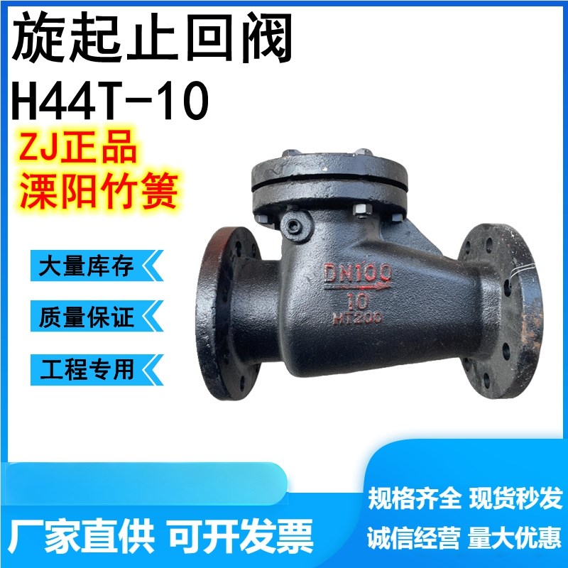 H44T-10/16ZJ竹箦竹机法兰铸铁铜芯止回阀DN50 80 100 125 150200