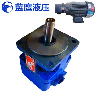 100叶片油泵20单双联泵 6.3 YB1