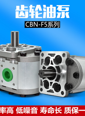 花键高压齿轮泵精密液压油泵CBN-F532 F550 F563 F580
