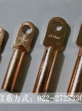 凰国标铜鼻子 紫铜堵油铜端子 铜接线端子铜线耳 DT300平方