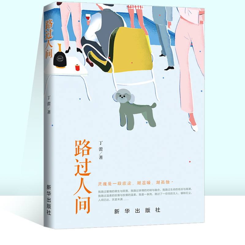 正版-路过人间新华丁蕾