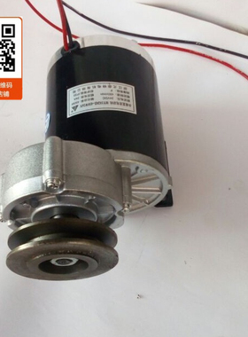 尤奈特永磁直流有刷减速电机MY1020Z-450W 600W  皮带轮电机