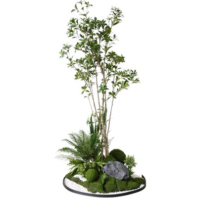 仿真马醉木绿植造景室内玄关假植B物盆栽装饰摆件橱窗角落苔藓布
