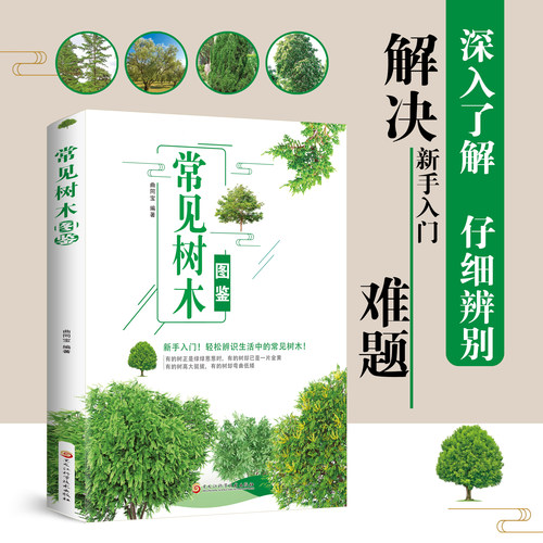 正版常见树木图鉴 分辨树木森林景色生活中的常见树木彩图版科普