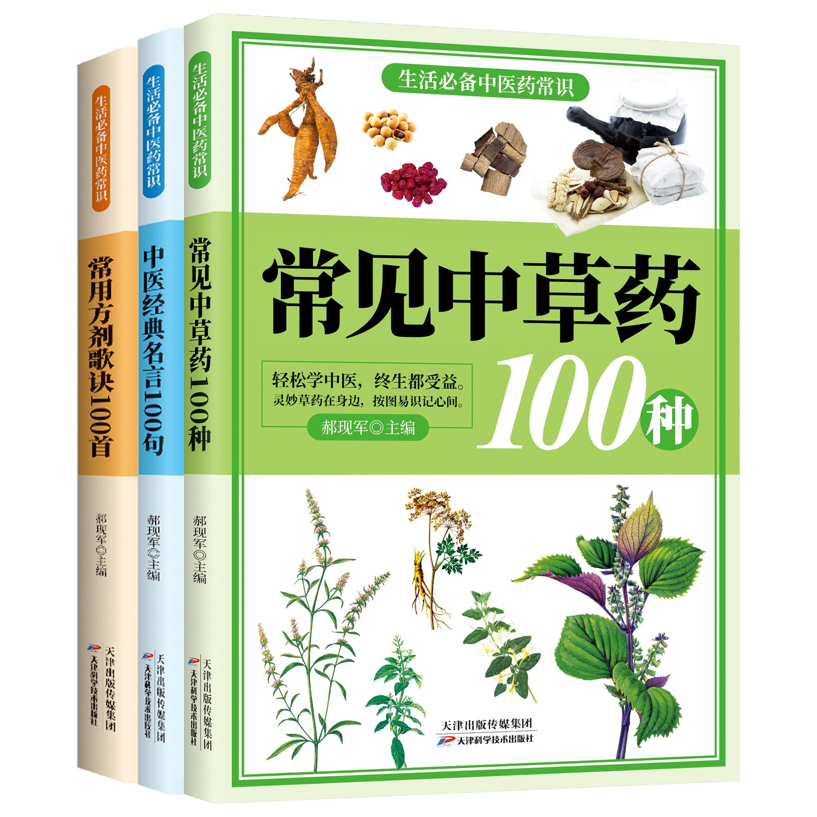 正版 全3册生活阅读中医药常识常见草药中医经典名言常用方剂歌诀