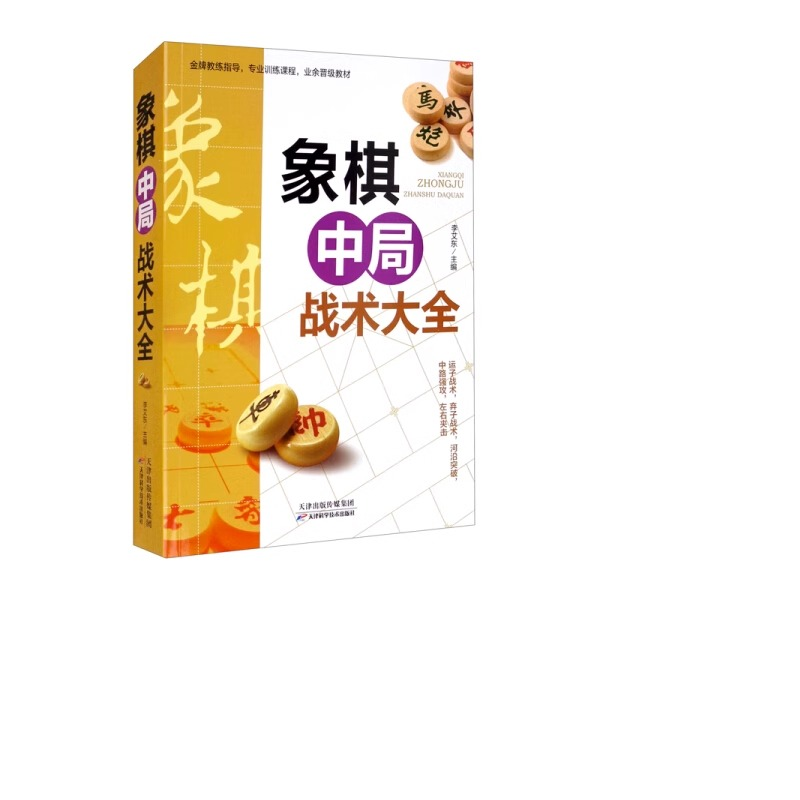 象棋中局战术大全正版中国布局棋谱大全象棋入门提高技巧实用残局