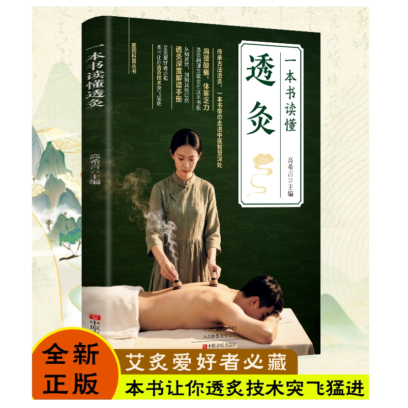 一本书读懂透灸 中医养生精选民间传统疗法 艾灸按摩家庭常备书籍