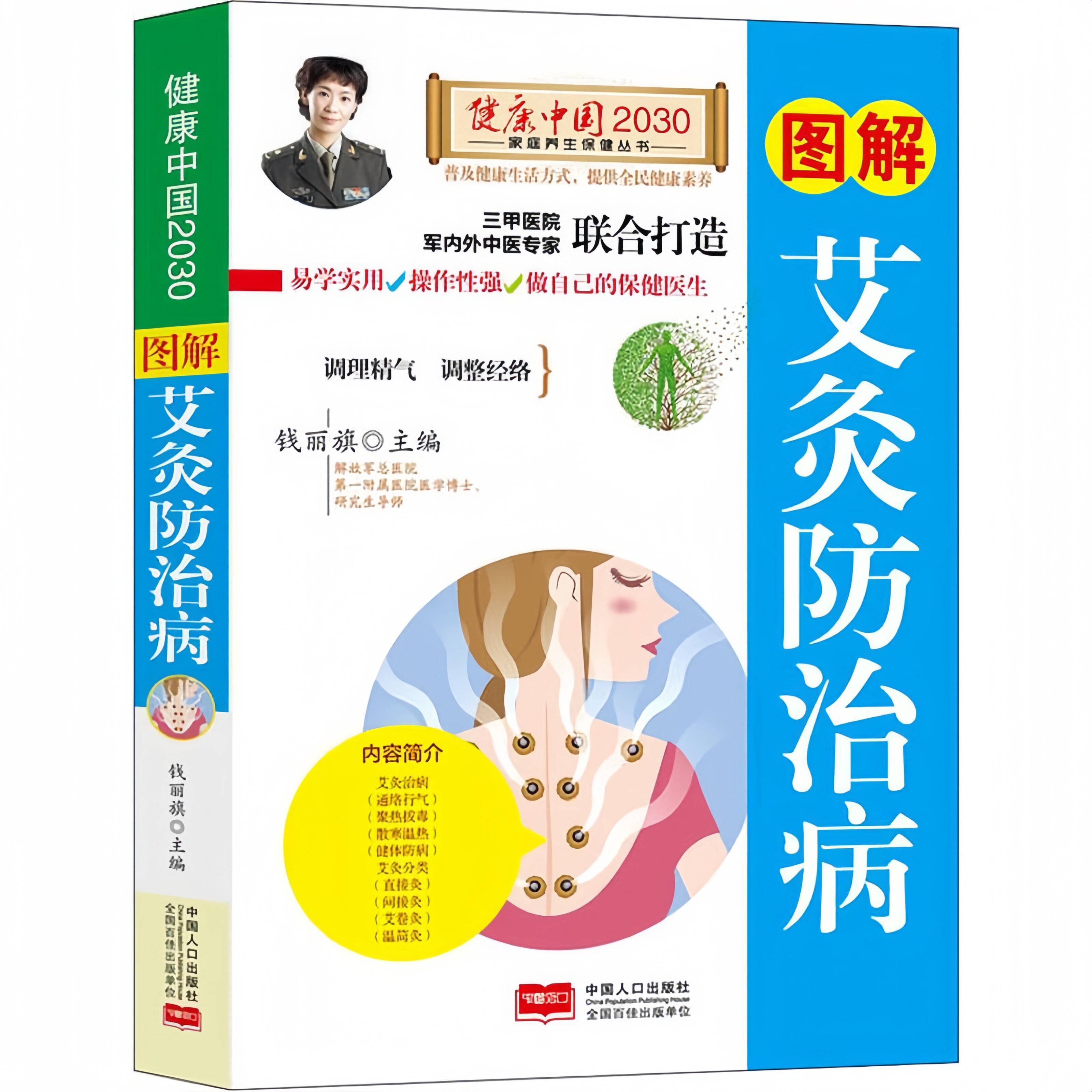 图解艾灸防治病 调理精气调整经络详解艾灸防治病技法家庭养生书