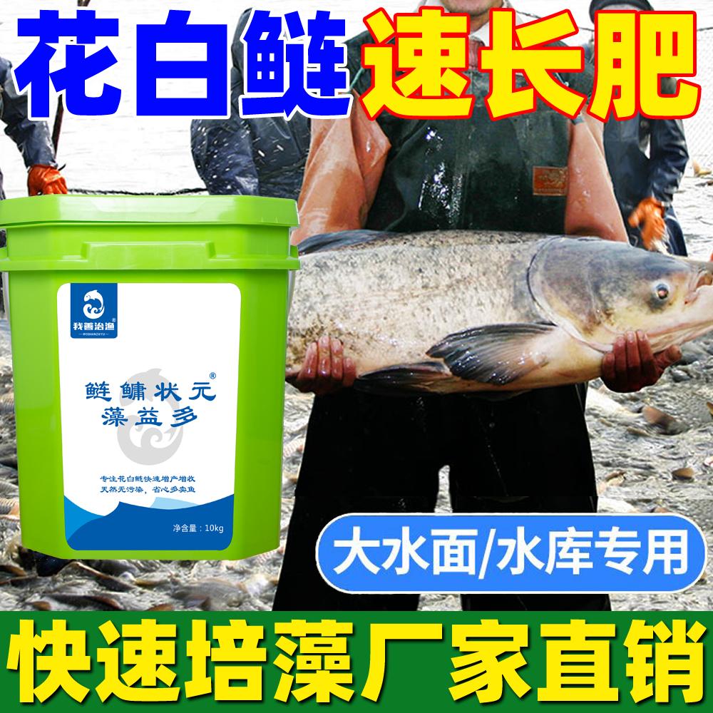 水库快速肥水培藻桶装正品养殖