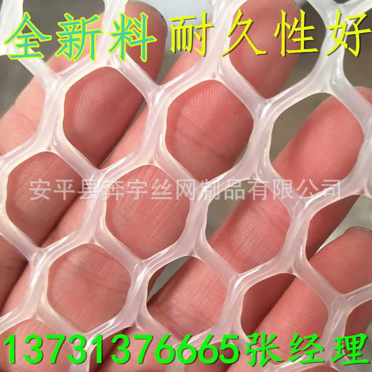 白色大孔养鸭苗床塑料网规格全
