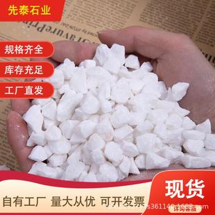 景园林RHP观小白石头水枯山水白卵石鹅水磨石子白色砾石洗石