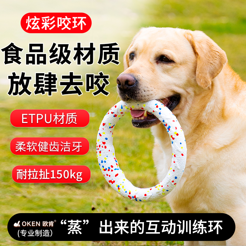 狗狗專用耐咬磨牙飛盤