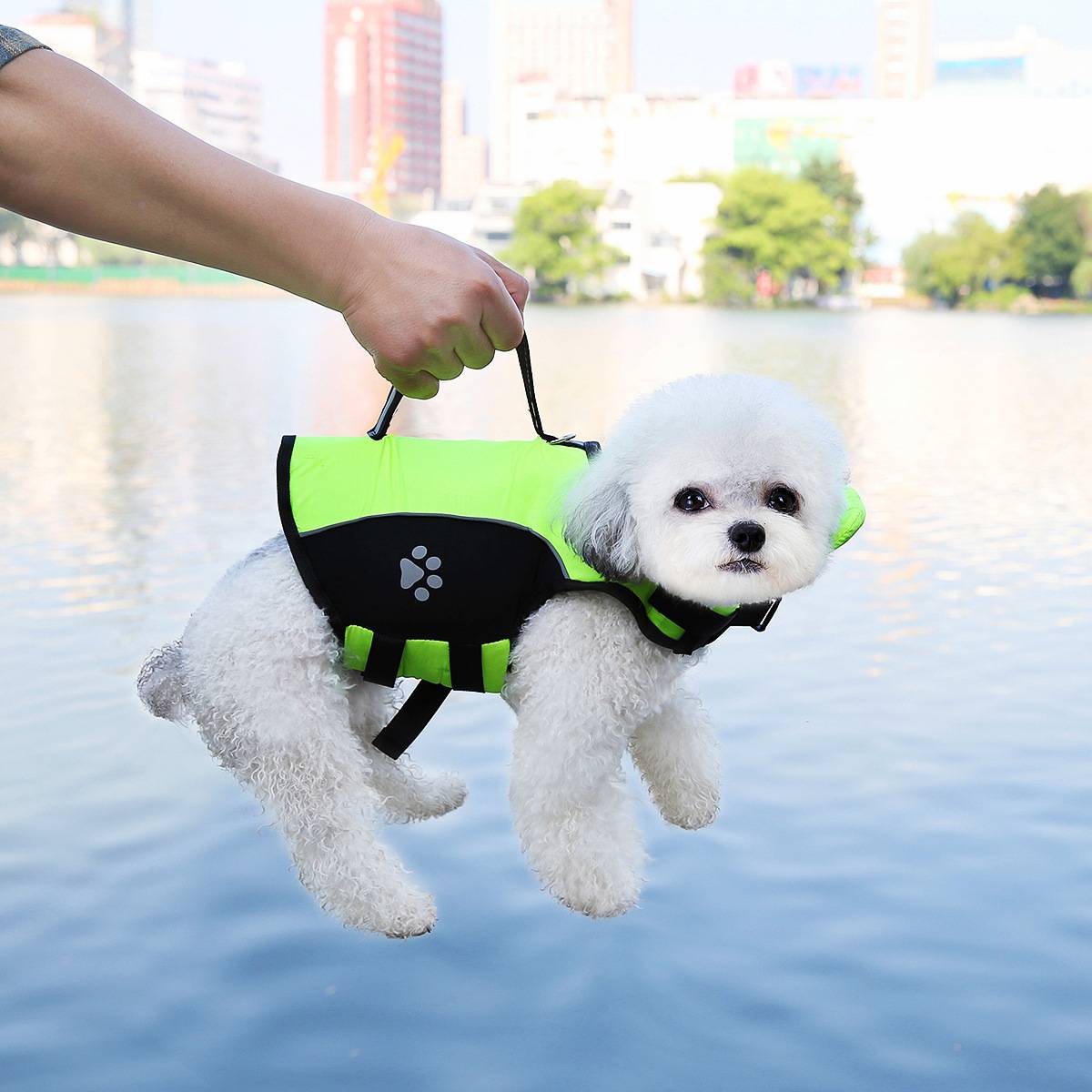 狗狗救生衣浮力游泳漂流夏天玩水