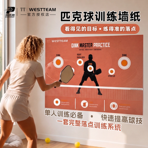 TT匹克球训练自粘墙贴纸