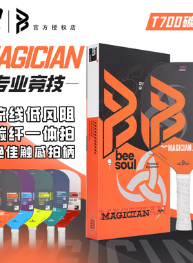 Beesoul匹克球拍魔法防守专业比赛T700拍板pickleball匹克球球拍