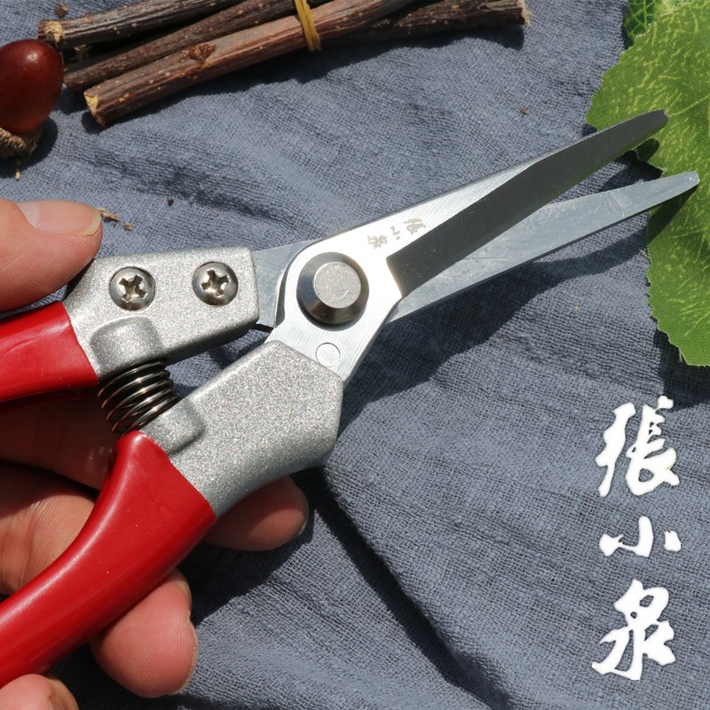 张小泉花剪 园艺剪刀修枝剪w摘果器葡萄剪刀花椒剪采果剪稀果剪子