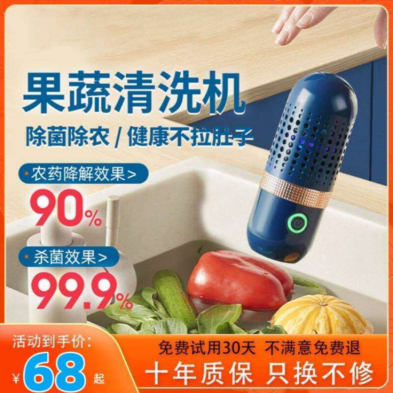 德国超声波胶囊果蔬清洗机水果蔬菜净化器食材杀菌机消毒清洗机器