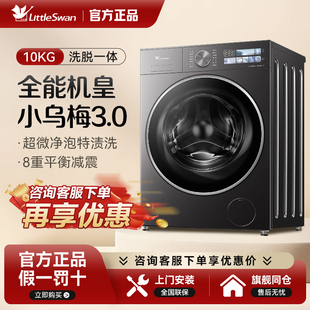 Littleswan/小天鹅 TG10DE40