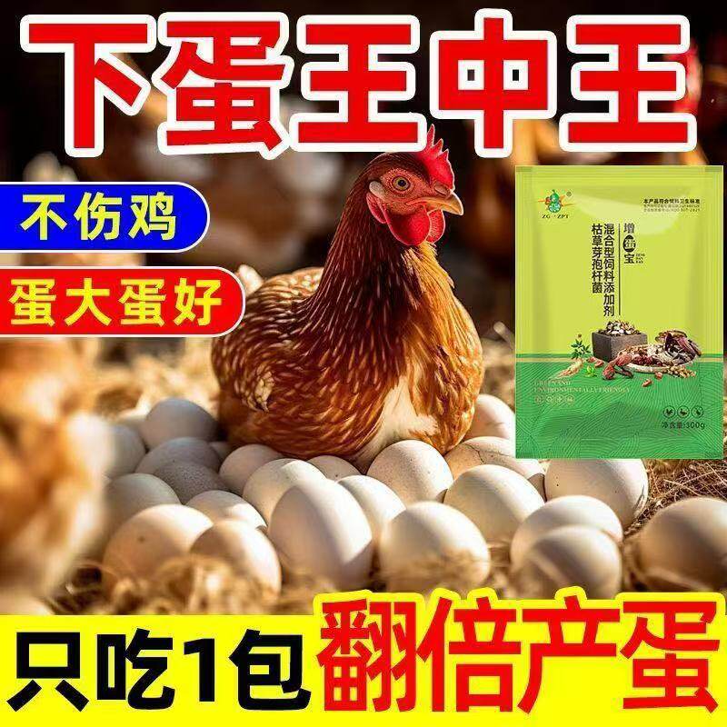 增蛋宝蛋多多禽饲料添加剂催产灵下母鸡鸭鹅鹌鹑曾专用正品强力