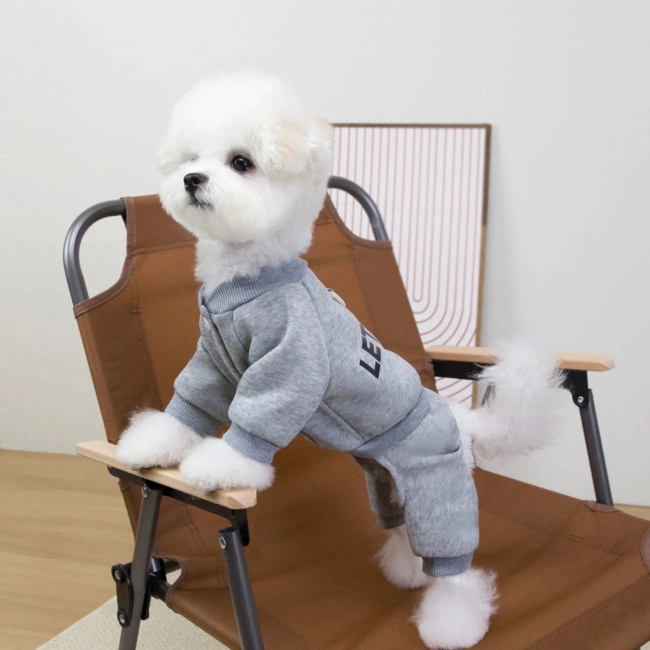 【卫衣套装潮牌】宠物服狗狗衣服