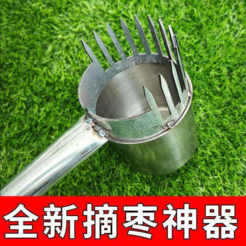 加厚新款酸枣不锈钢摘果器采果山枣柏树神器小枣工具