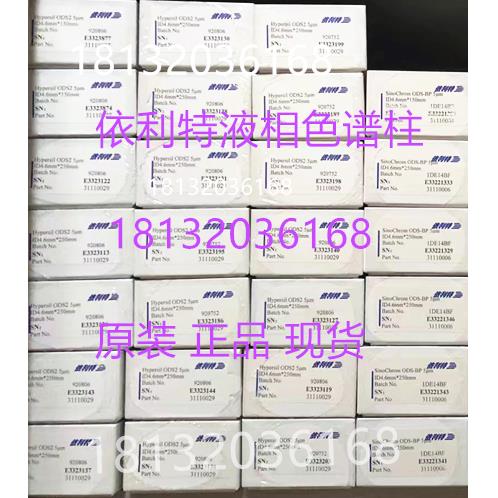 优惠 31110018大连依利特Hypersil ODS(C18) 4.6mm*150mm*5um正品