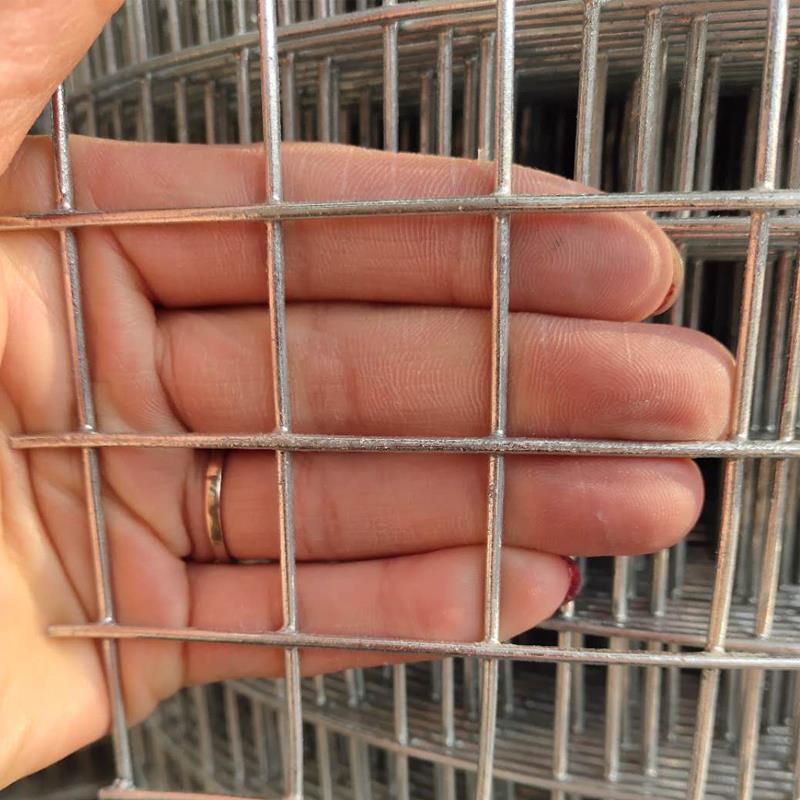 热浸镀锌铁丝围栏网加粗养殖网铁网格网防护栏隔离户外栅栏网钢丝