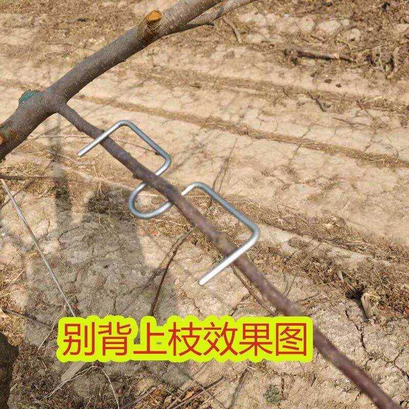 现货速发别枝器果树扭枝夹拉枝定型器苗木矫正树枝条固定盆景造型