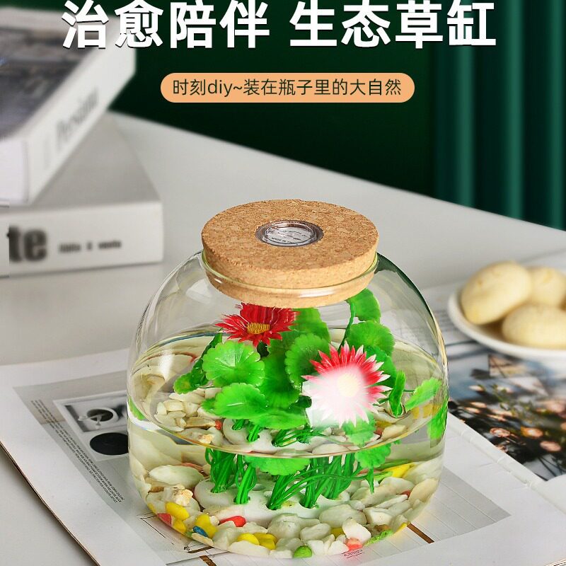 水培花盆植物玻璃带灯瓶