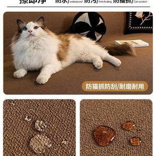 防水泰迪绒沙发盖布巾防滑四季 2025新款 通用防猫抓全包型套罩发巾