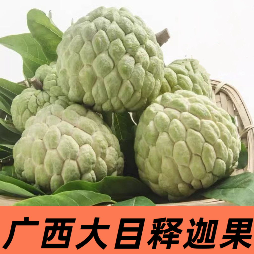 正宗大目释迦大果释迦番荔枝佛头果热带新鲜水果当季现摘整件包邮图片