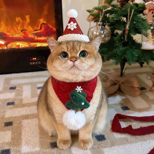 猫咪围脖圣诞编织围巾狗狗口水巾2025新款小配饰保暖围兜可爱