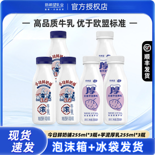 3瓶低温早餐牛奶 芋泥厚乳255ml 新希望鲜牛奶今日鲜奶铺255ml