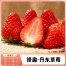 新鲜水果顺丰京东 锋趣丹东红颜九九草莓99应季 包邮 k姐推荐
