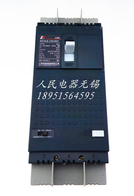 中国人民电器集团 DZ15LE-100/390 漏电断路器空气开关  正品