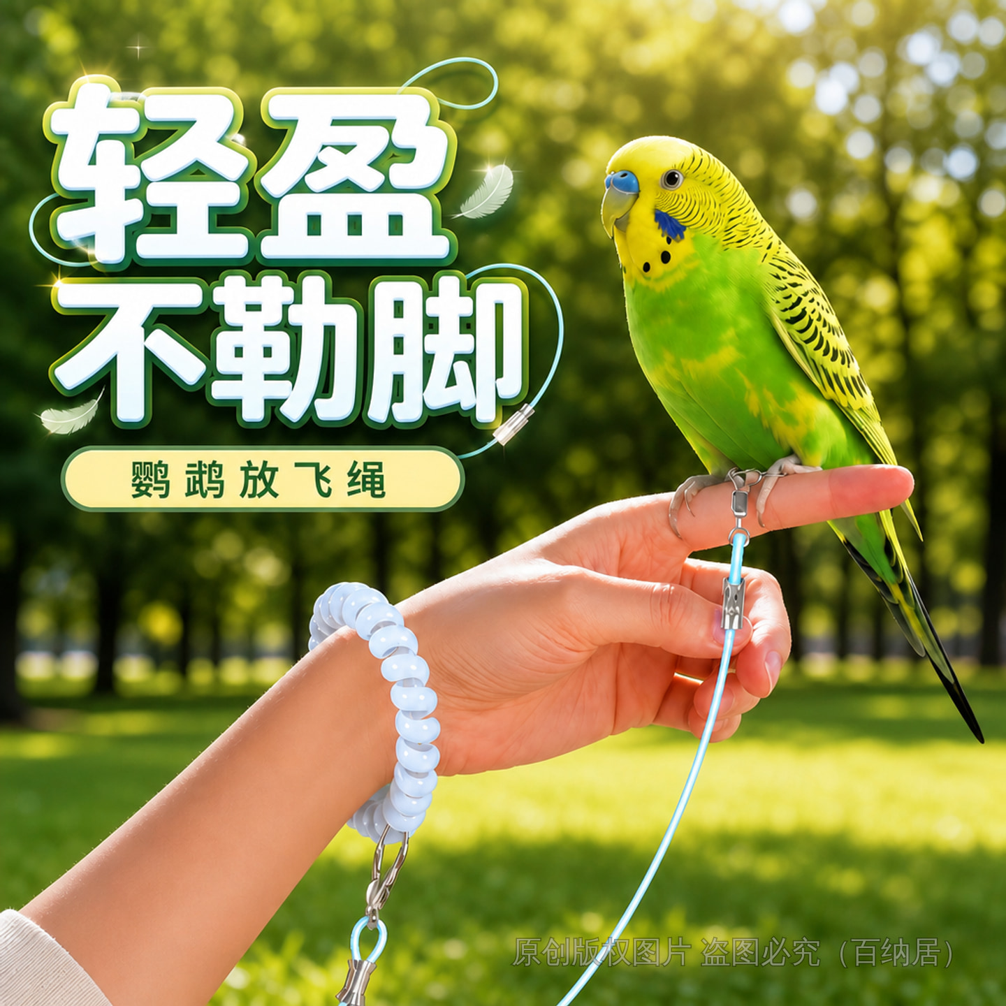 鹦鹉放飞绳超轻不伤脚耐咬虎皮玄凤牡丹小太阳外出牵引脚链