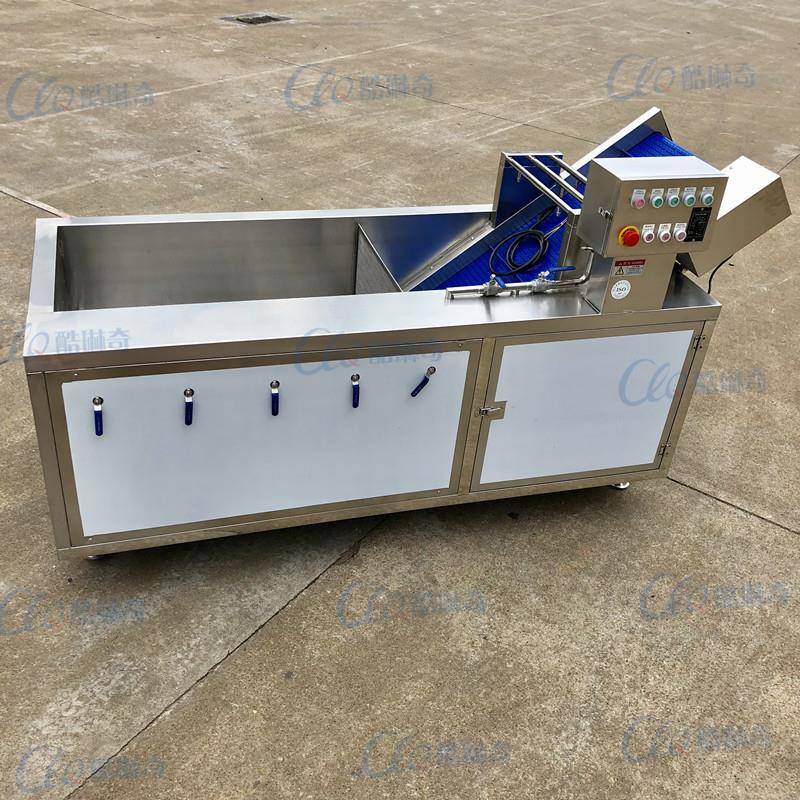 连续式清洗设备高压果蔬去杂气泡清洗机大枣菠菜喷淋式洗果机